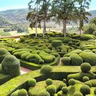 Chaos de buis aux jardin de Marqueyssac 