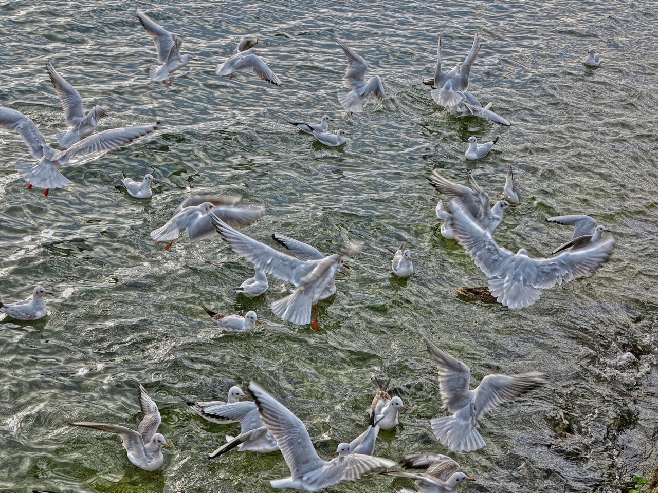 Chaos im Wasser