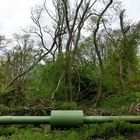 Chaotische Natur und geordneteTechnik in grüner Harmonie