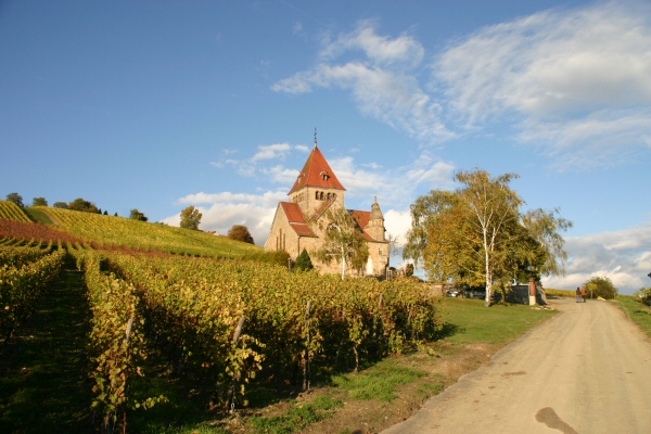 Chapel in the Vineyards