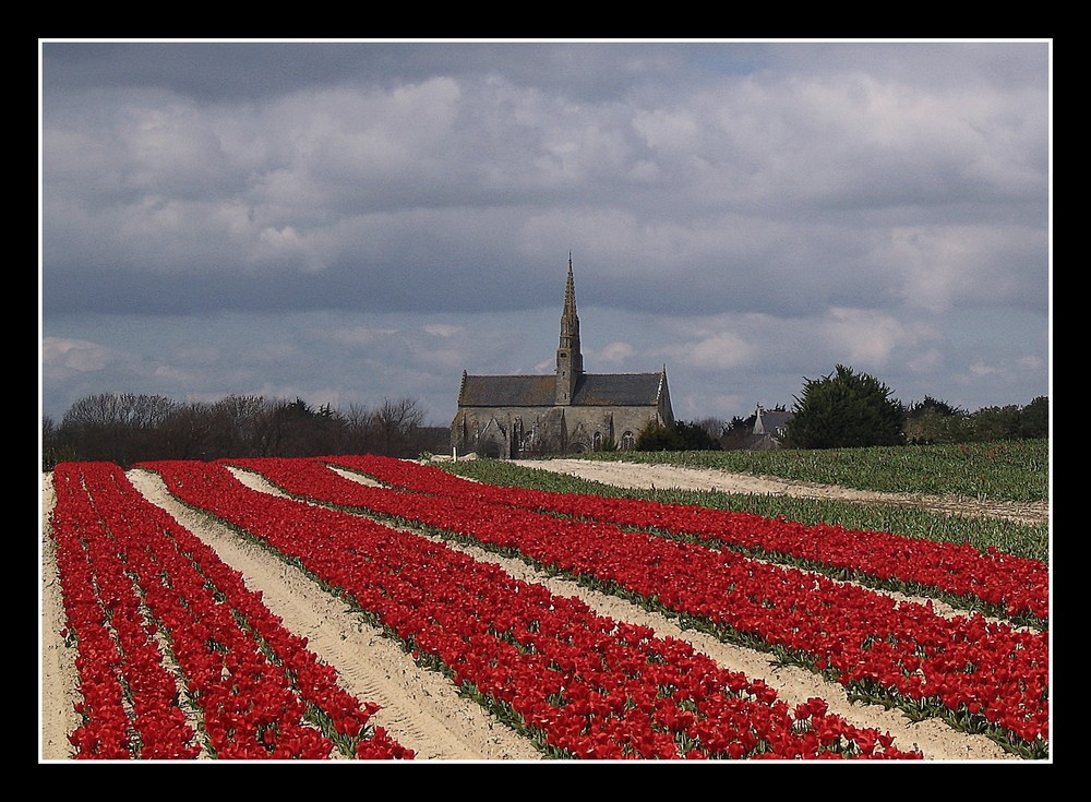 "Chapelle de St Jean de Tronoën "