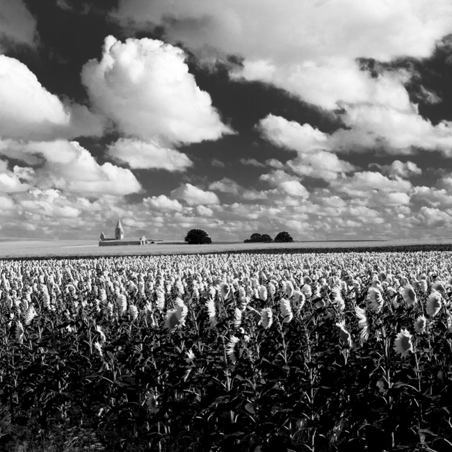 Chapelle des tournesols