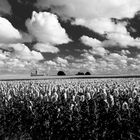 Chapelle des tournesols