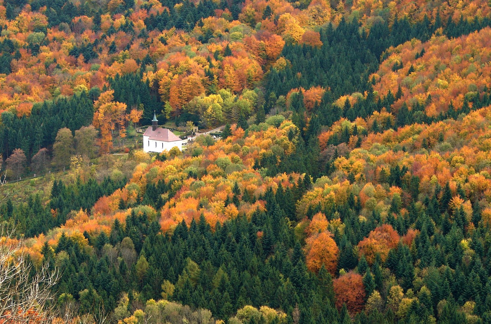 chapelle en forêt noire