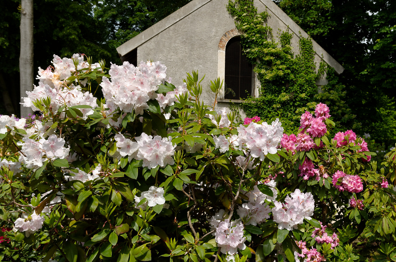 chapelle fleurie