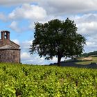 Chapelle St Pierre à Charentay (Beaujolais)