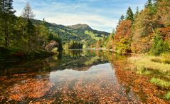Chapfensee im Herbst