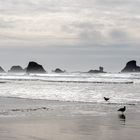 Chapman Point, USA, Oregon,