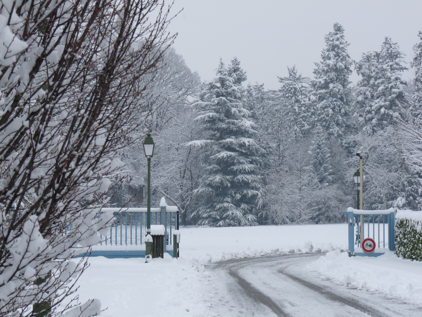 CHAPONNAY (Rhône) - France - Image hivernale