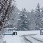 CHAPONNAY (Rhône) - France - Image hivernale