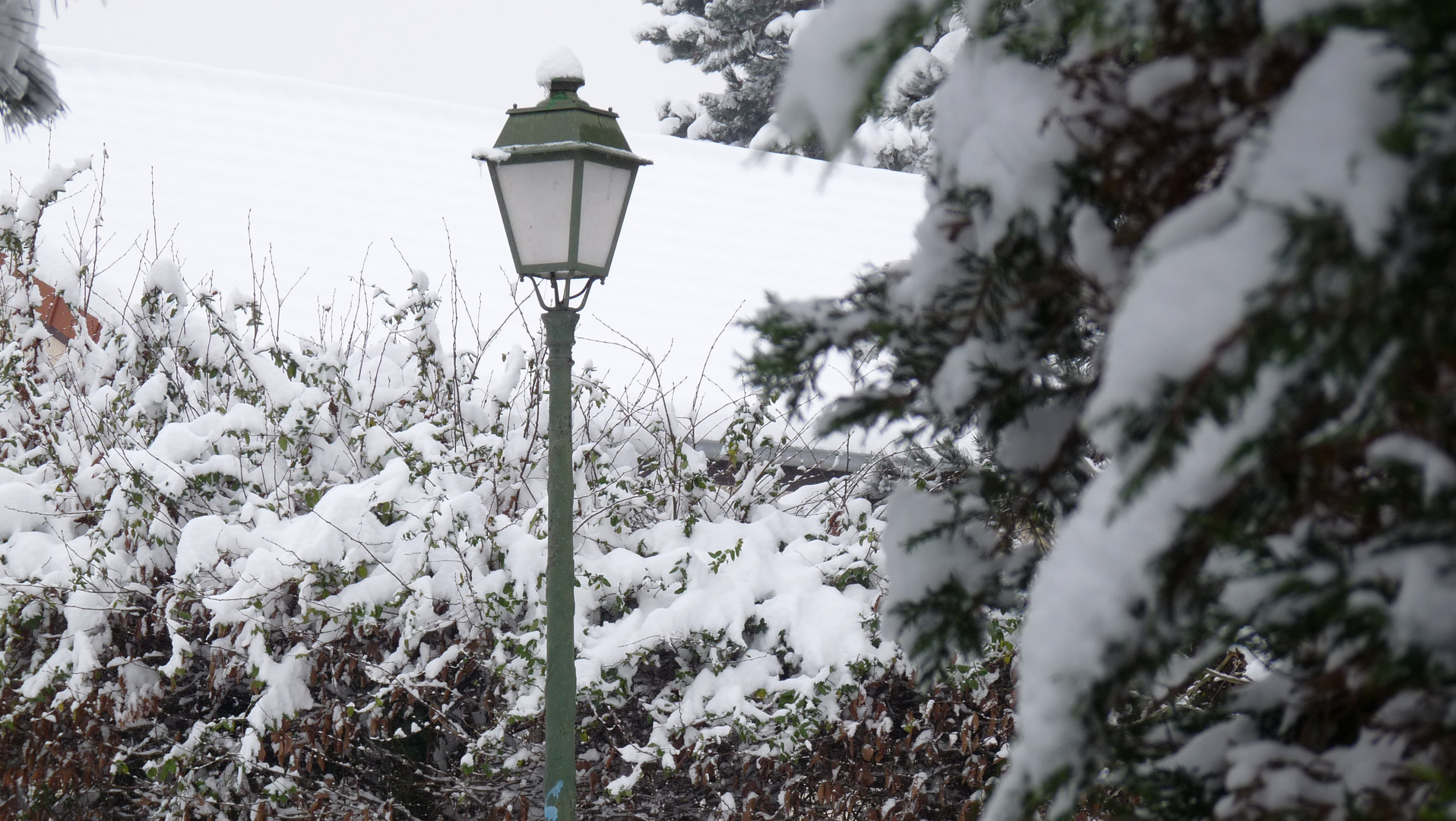 CHAPONNAY (Rhône) France - sous la neige