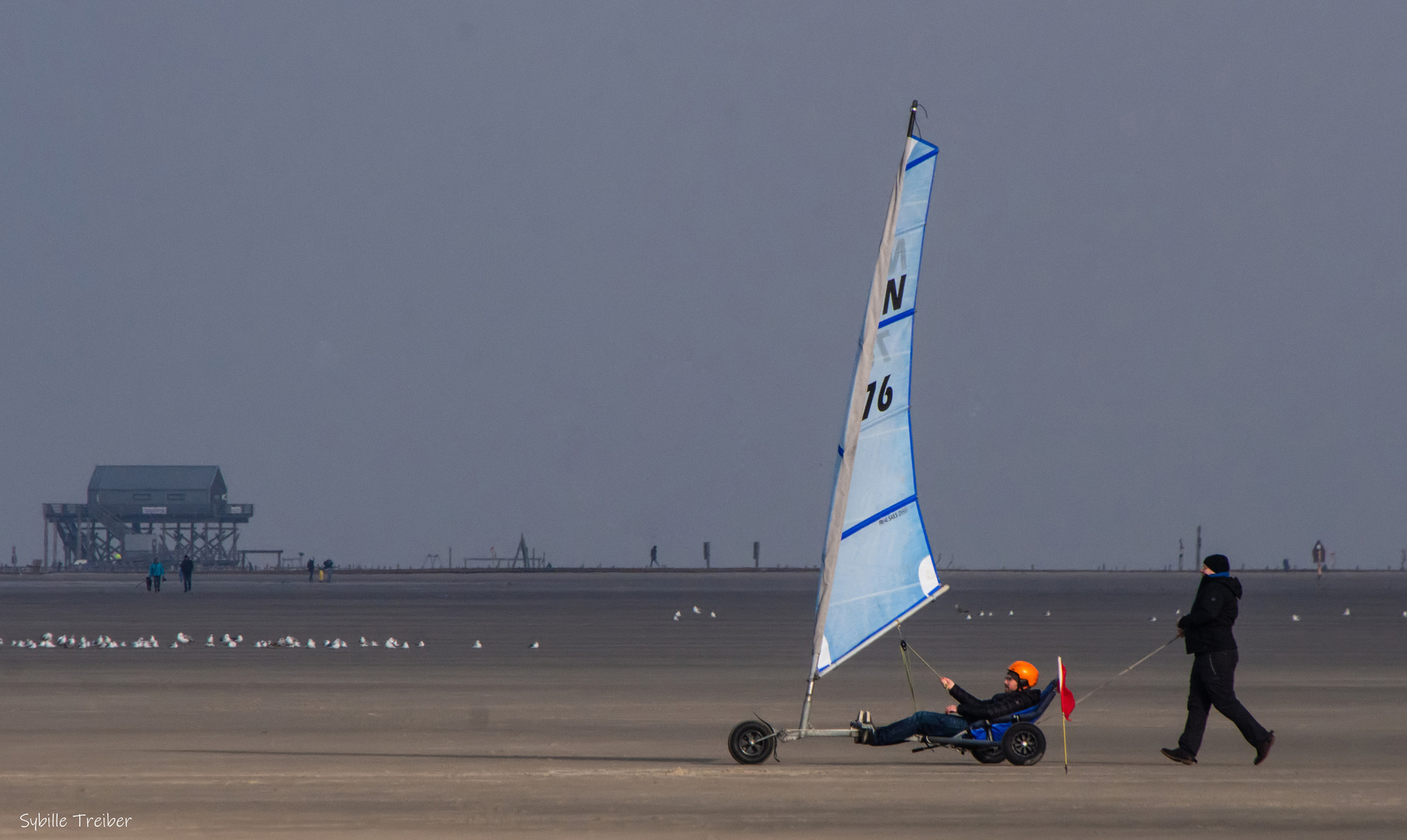 Char à voile