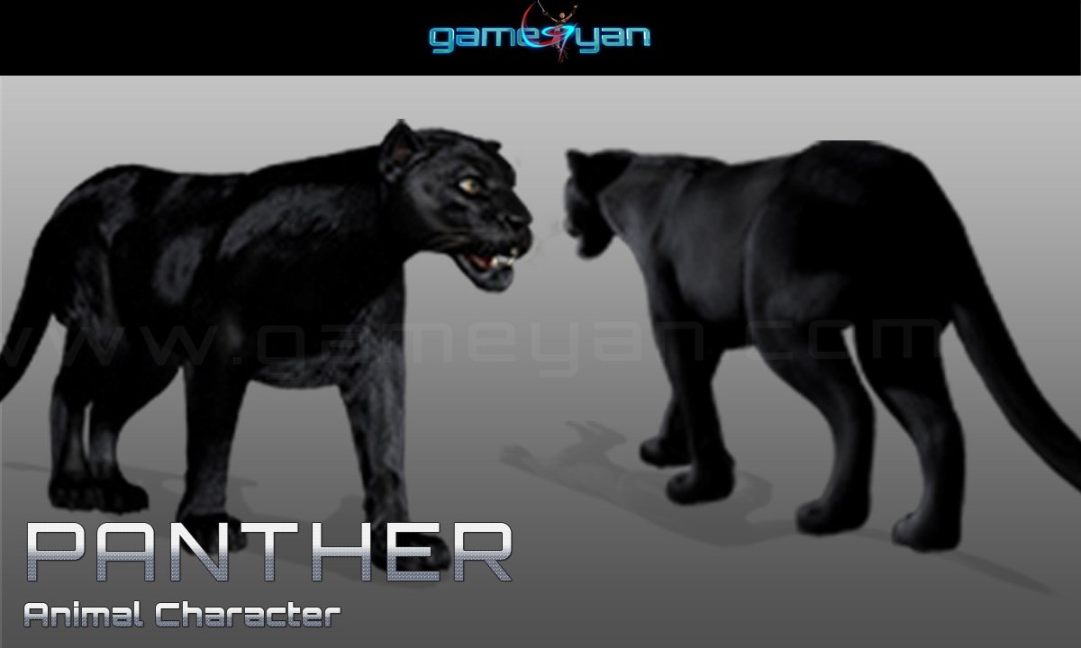 Character Animation 3D Panther animali