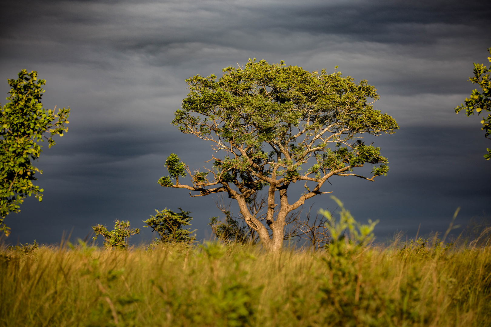 Charakteristische Landschaft Südafrika