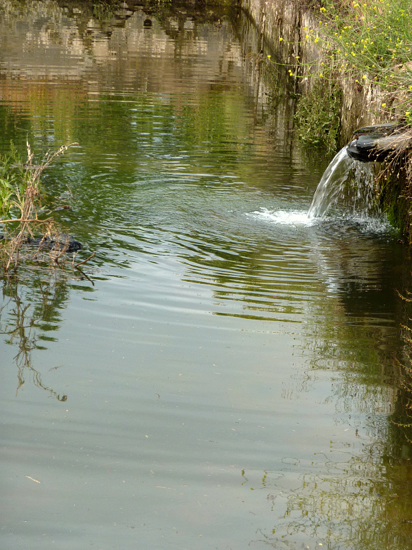 Charca refrescante