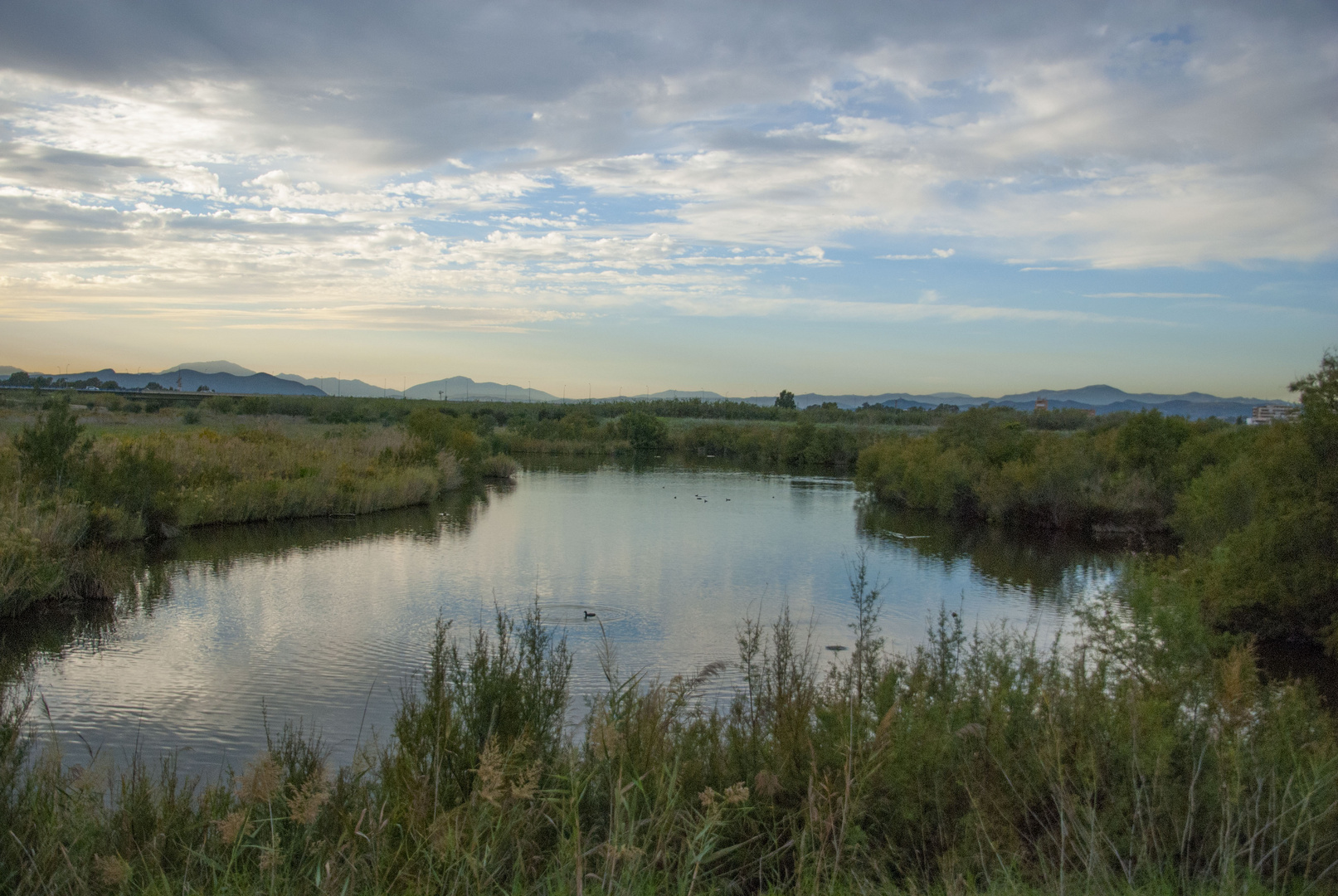 CHARCO