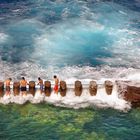 CHARCO AZUL . (LA PALMA). Dedicada a VALENTIN IGLESIAS LEAL.