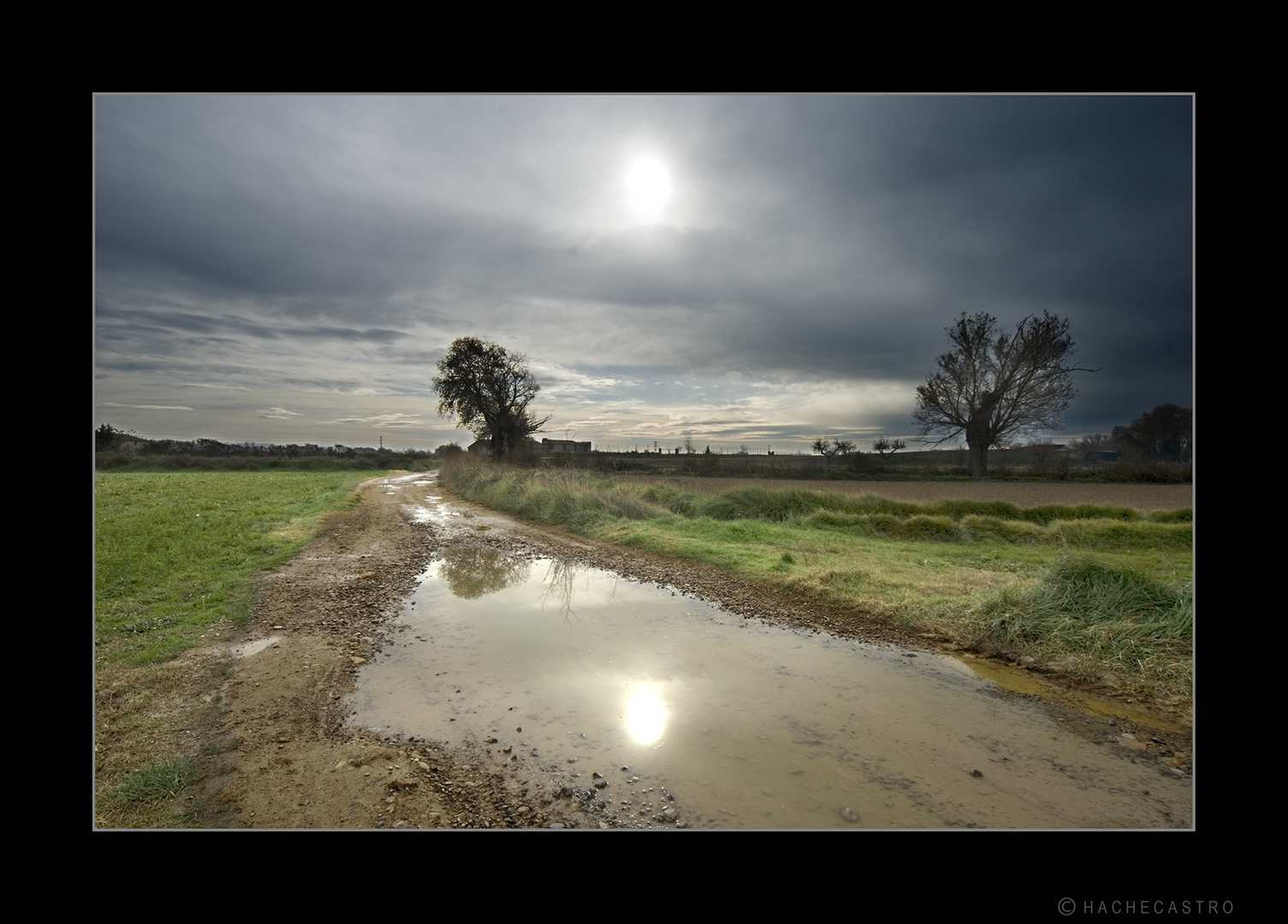 Charco en el camino