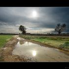 Charco en el camino