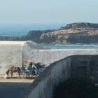 charette devant l'océan