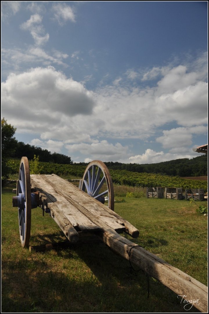 charette du Tarn