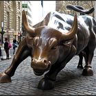 Charging Bull - Manhatten - NYC