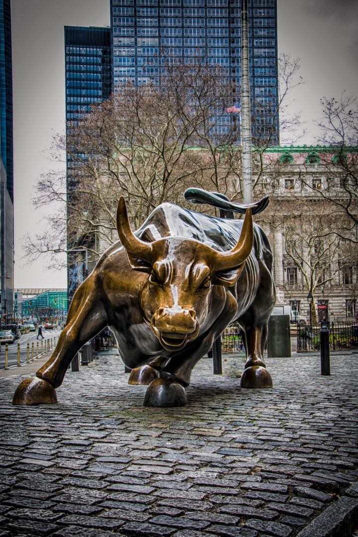 Charging Bull - Wall Street