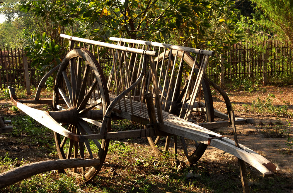 Chariots Of Fire!!! An Old Water Buffalo Drawn Cart. (Story Within).