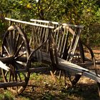 Chariots Of Fire!!! An Old Water Buffalo Drawn Cart. (Story Within).