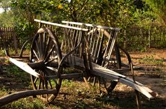 Chariots Of Fire!!! An Old Water Buffalo Drawn Cart. (Story Within).