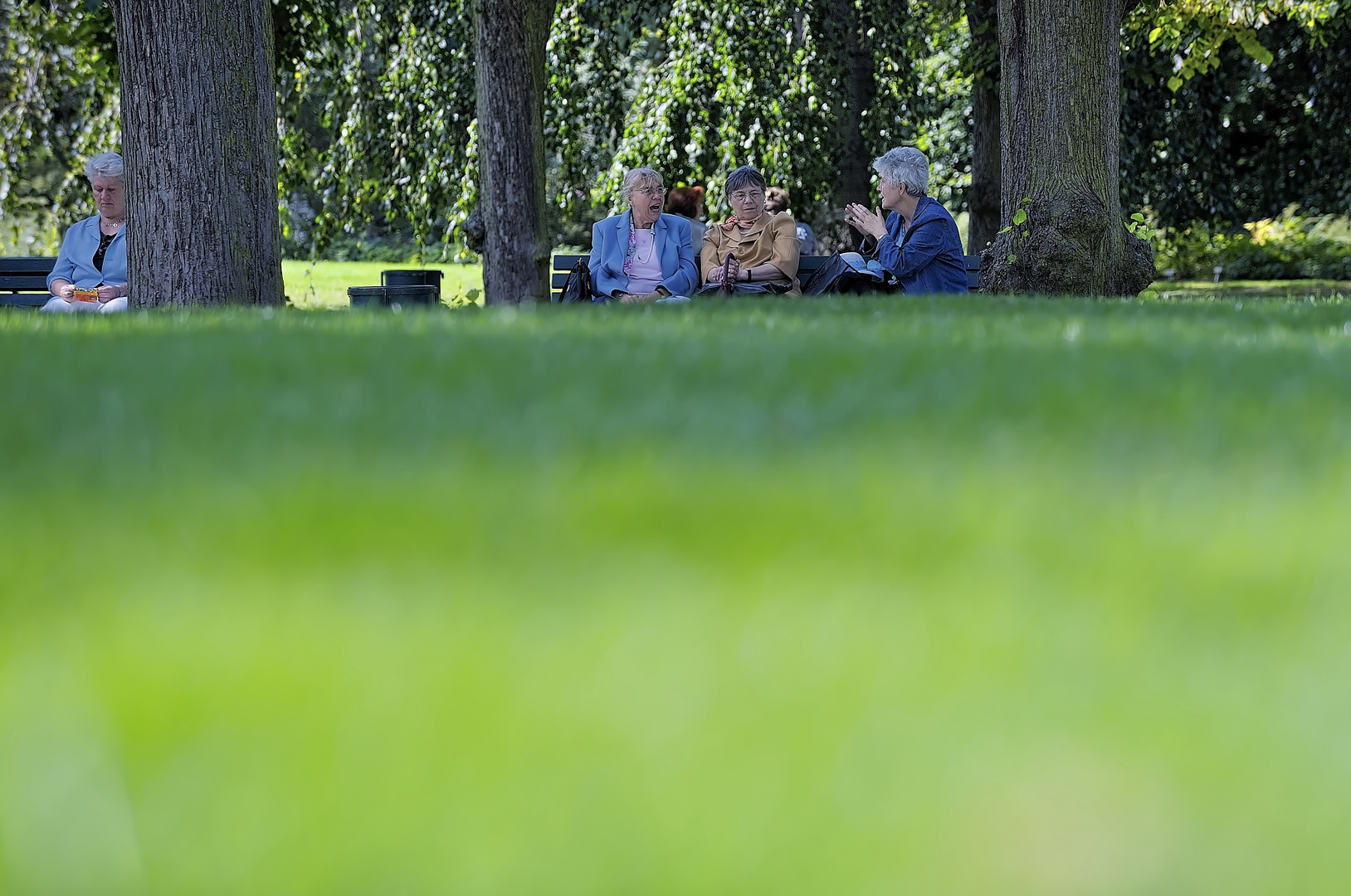 Charla en el Parque