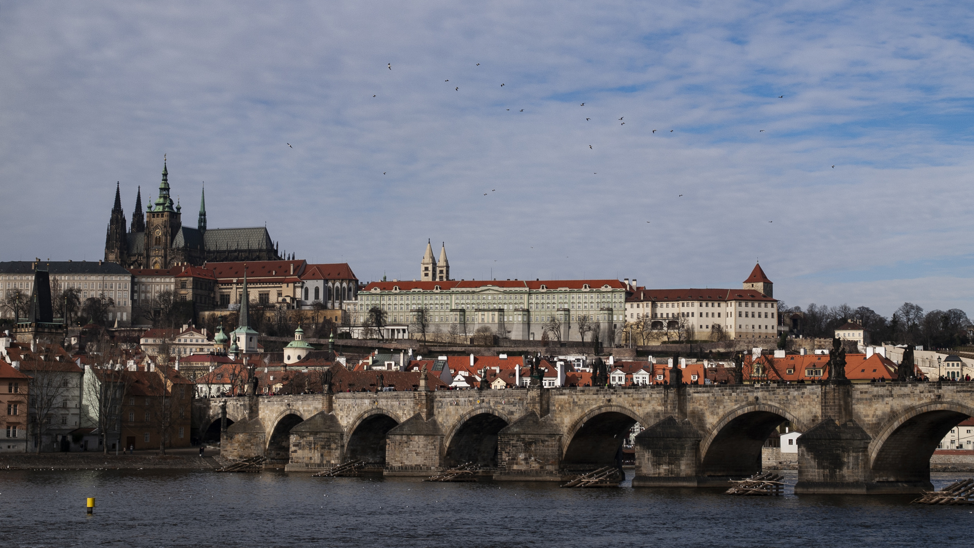 Charles bridge