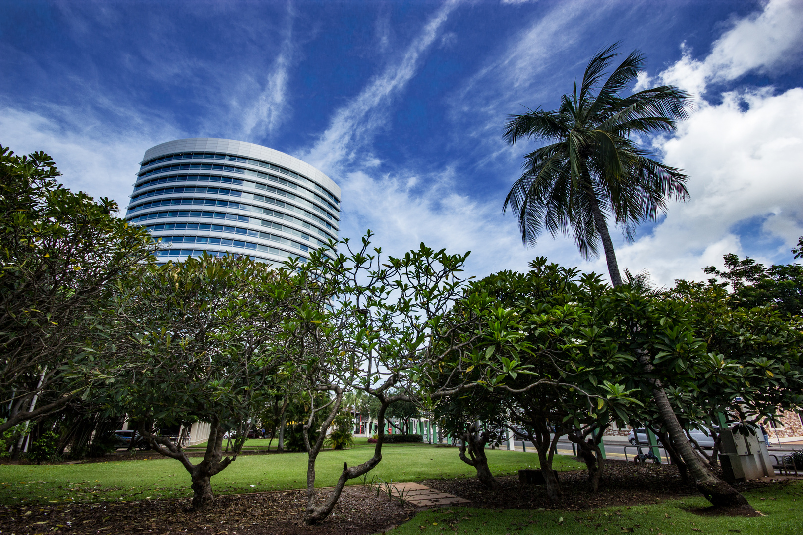 Charles Darwin Centre And Palm Tree