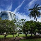 Charles Darwin Centre And Palm Tree