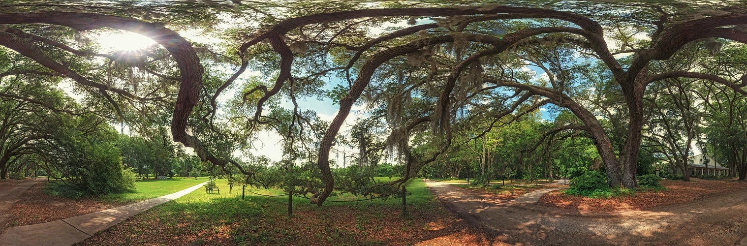 Charleston Teaplantation