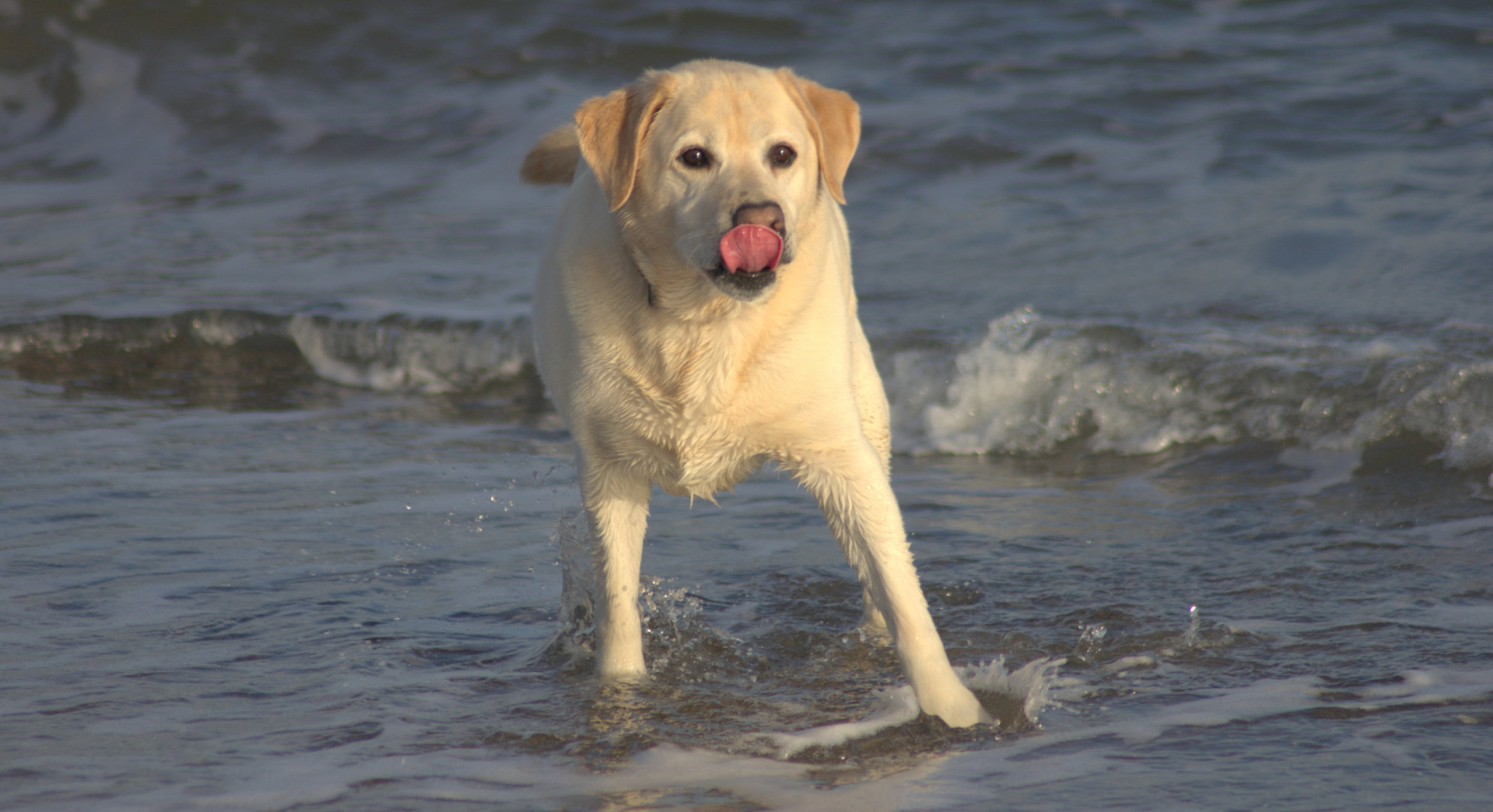 Charlie in der Ostsee