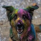 Charlie und das Holi-Shooting