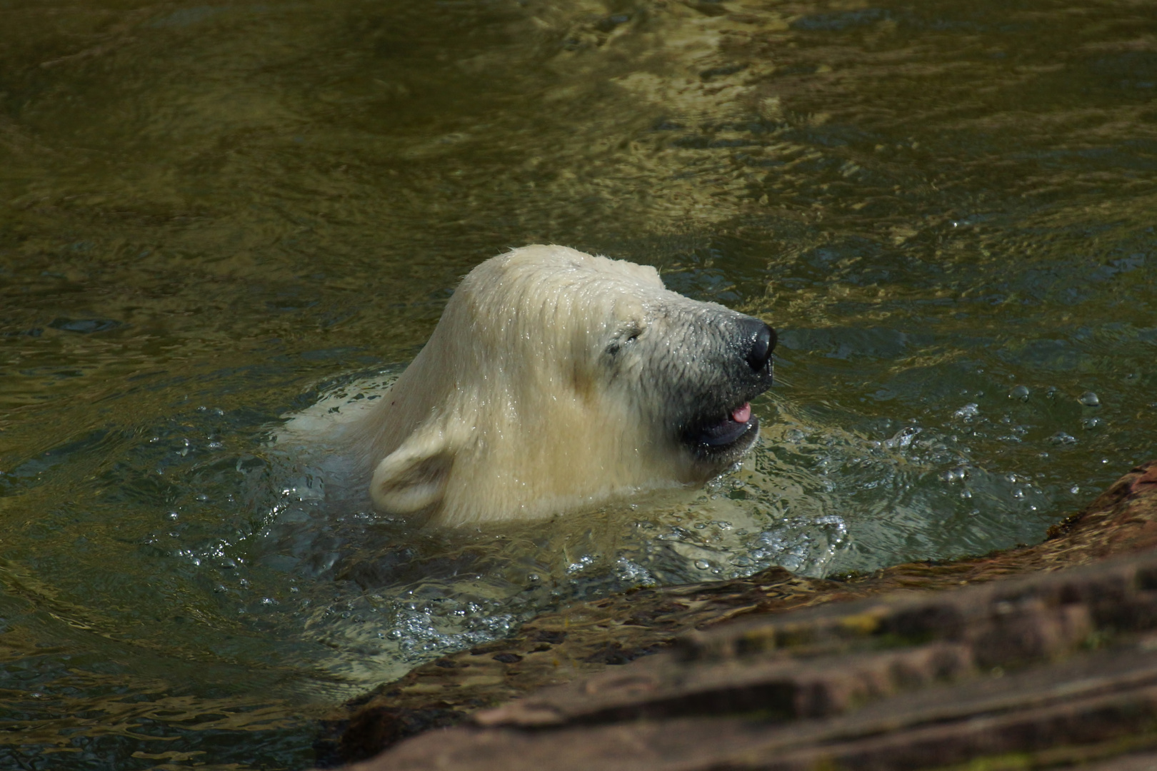 Charlotte beim Baden