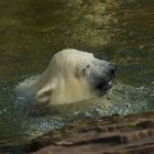 Charlotte beim Baden