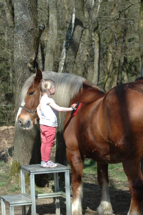 Charlotte und Max