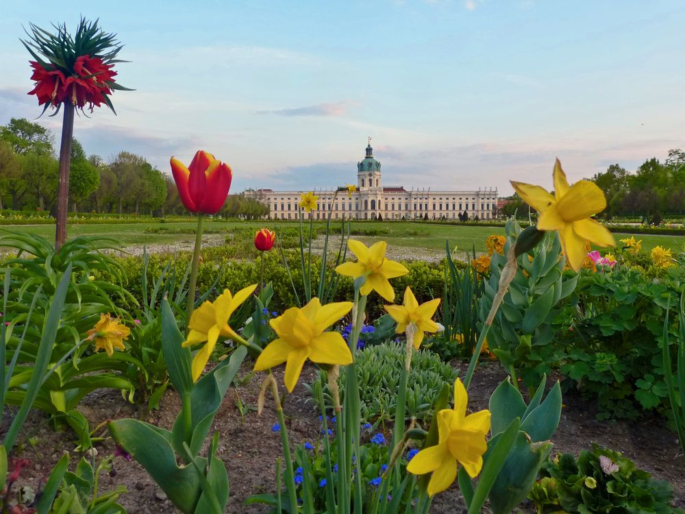 Charlottenburger Schloss im Frühling