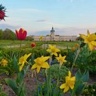 Charlottenburger Schloss im Frühling