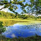 Charlottensee bei Uhingen