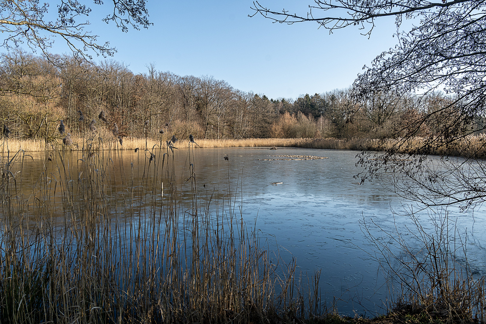 Charlottensee - Lac de Charlotte