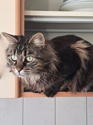 Charly, komm schnell...