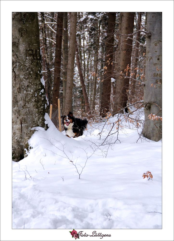 Charly und der Schnee