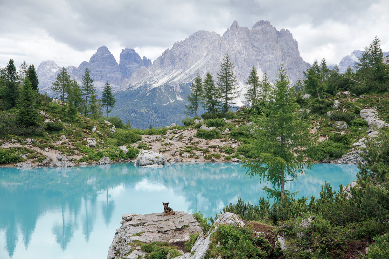 Charly und der See