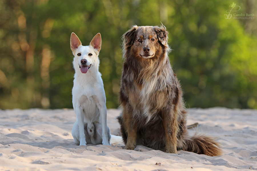 Charly und Neo