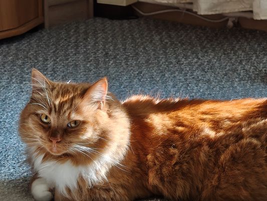 Charly unser Sonnenschein