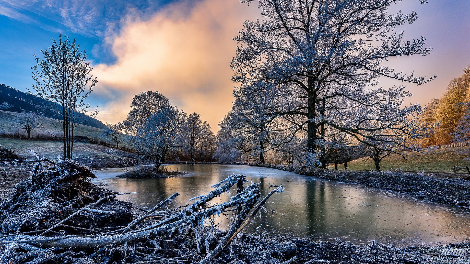 "CHARM OF WHITE FROST"